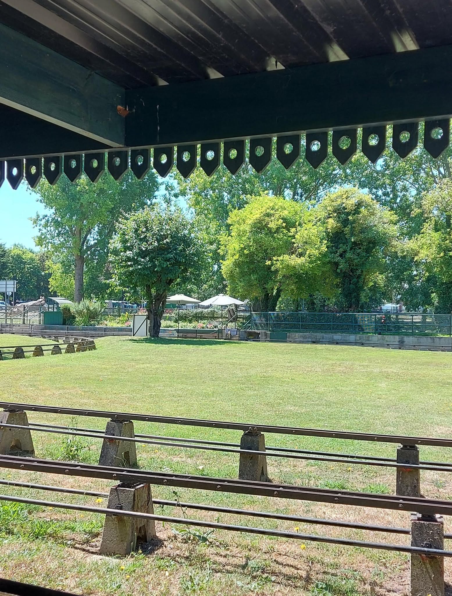 Miniature Steam Train Rides Big - Train