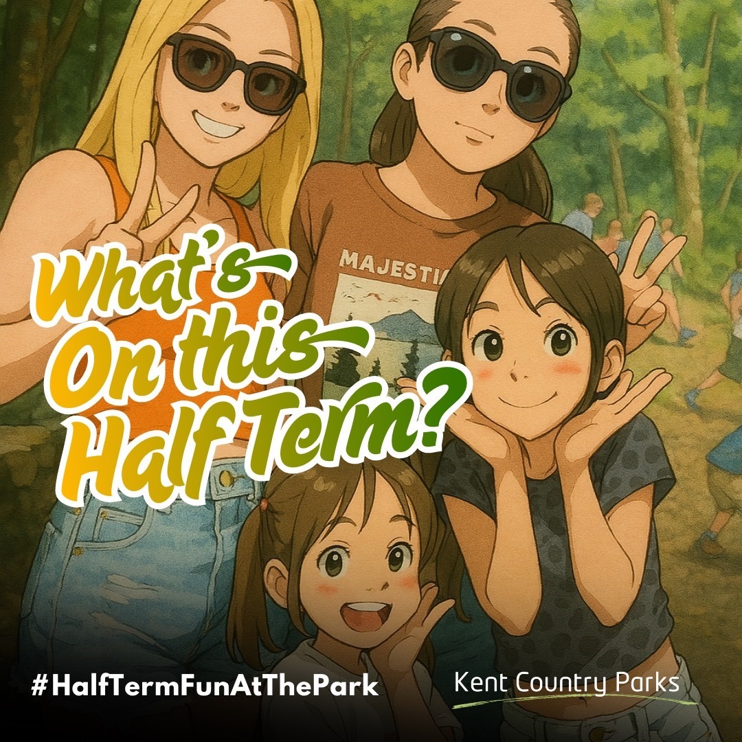 Half Term