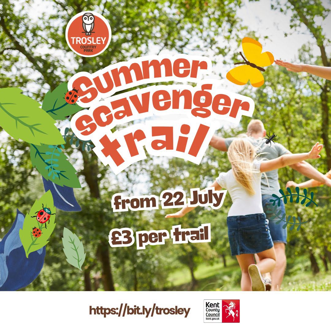 Summer Trail